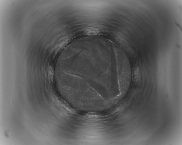X0000102460228200809051317