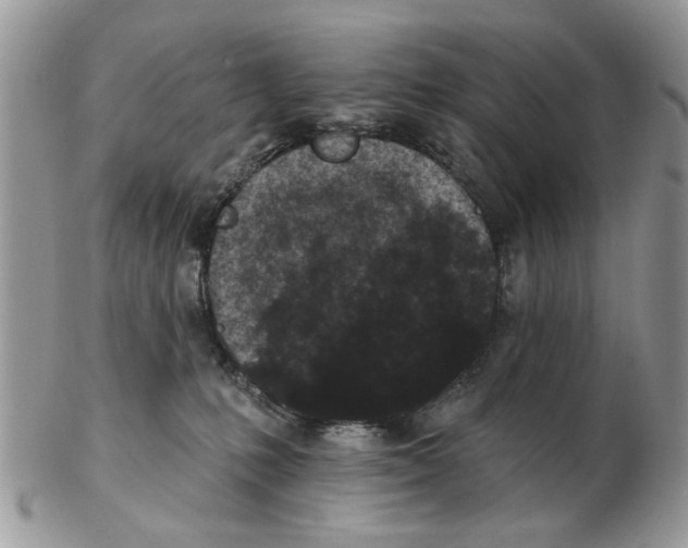 X0000102460231200809051317
