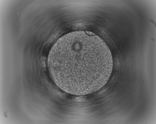 X0000102460232200809051317