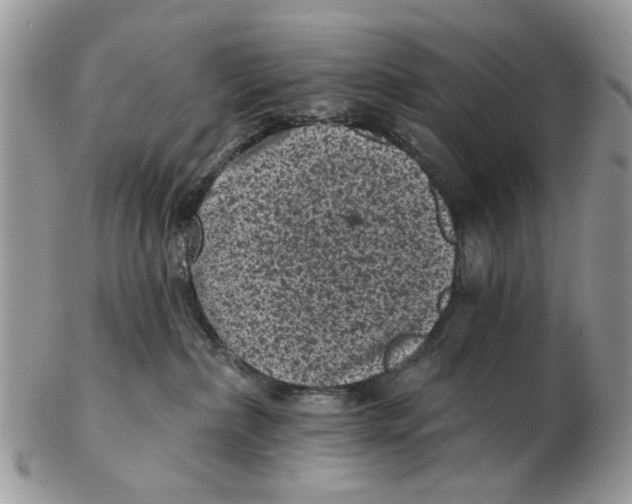 X0000102460236200809051317