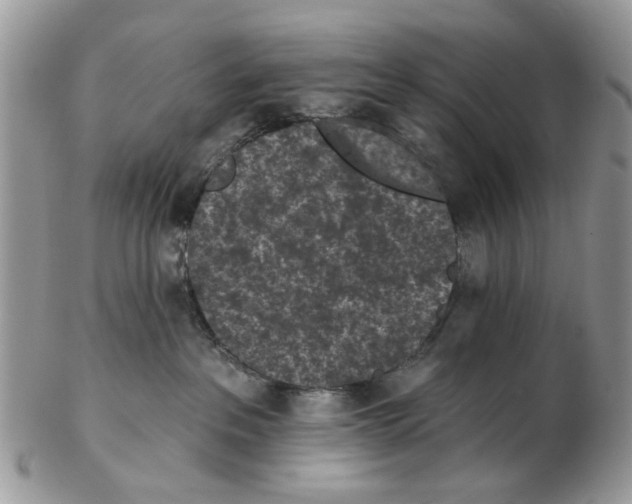 X0000102460237200809051317