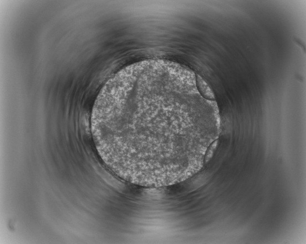 X0000102460238200809051316