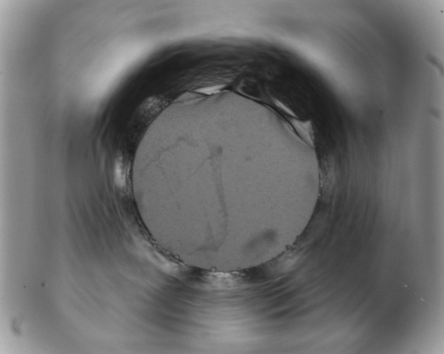 X0000102460239200809051316