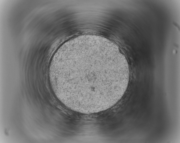 X0000102460241200809051316