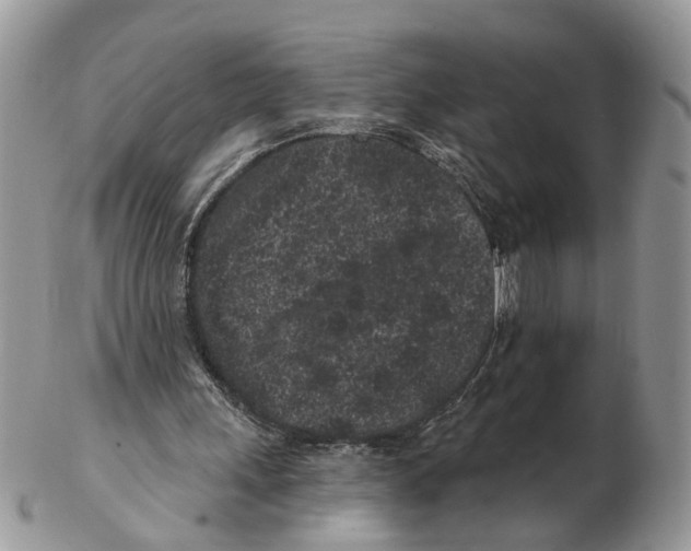 X0000102460243200809051316