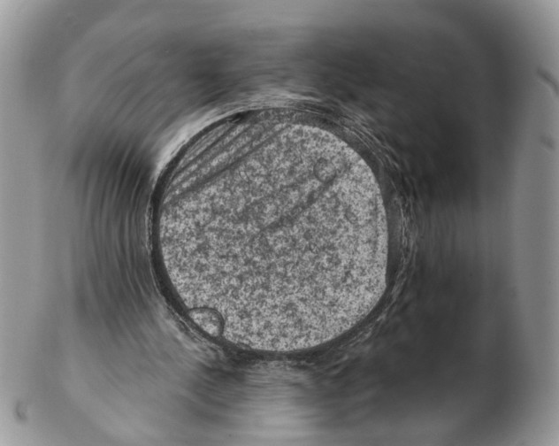 X0000102460244200809051316