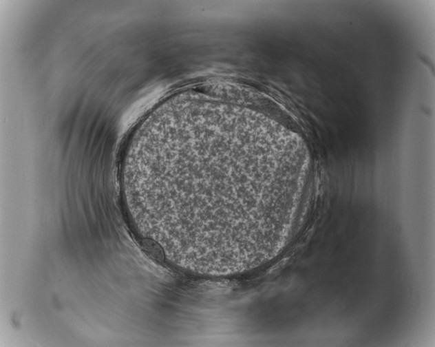 X0000102460245200809051316