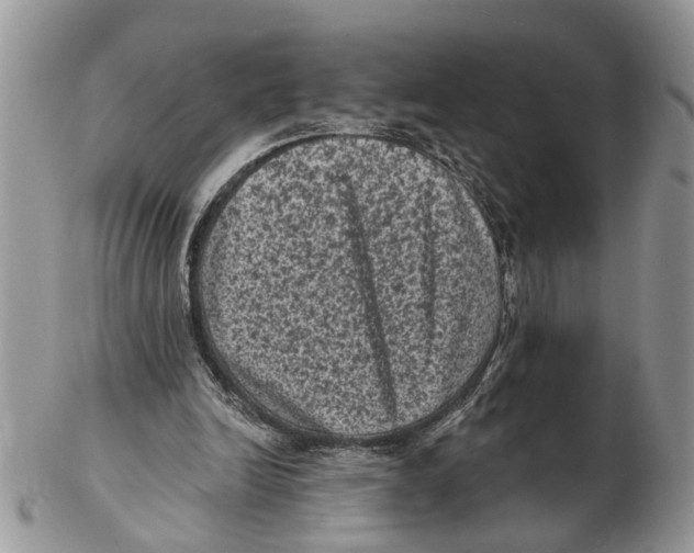 X0000102460246200809051316
