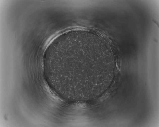 X0000102460247200809051316