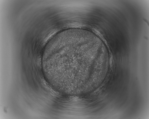 X0000102460249200809051316