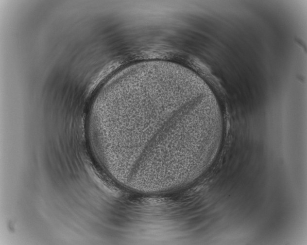 X0000102460250200809051316