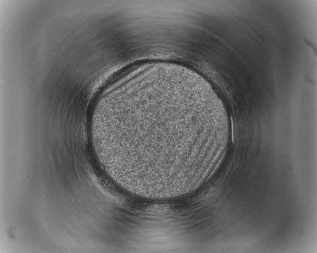 X0000102460252200809051316