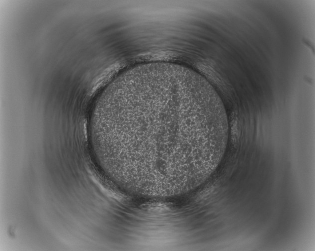 X0000102460254200809051316