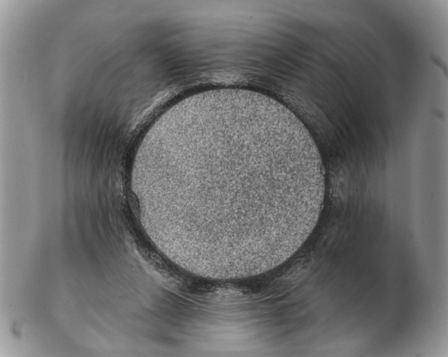 X0000102460256200809051316