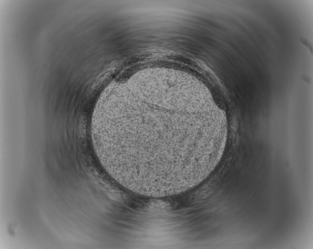X0000102460257200809051316