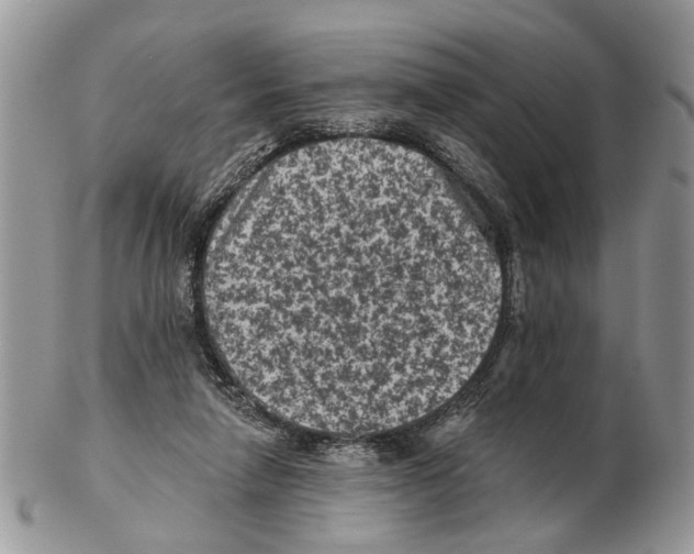 X0000102460258200809051316