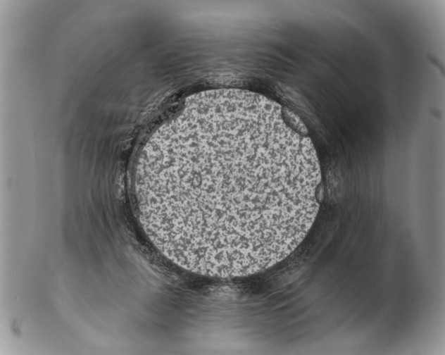 X0000102460259200809051316