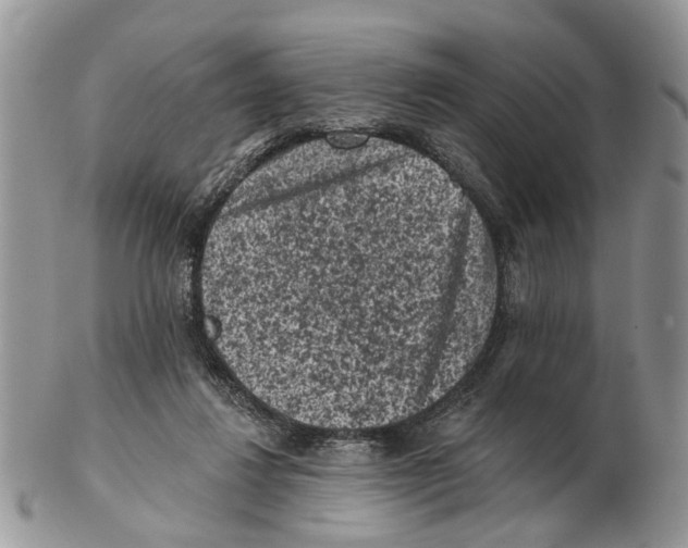 X0000102460260200809051316