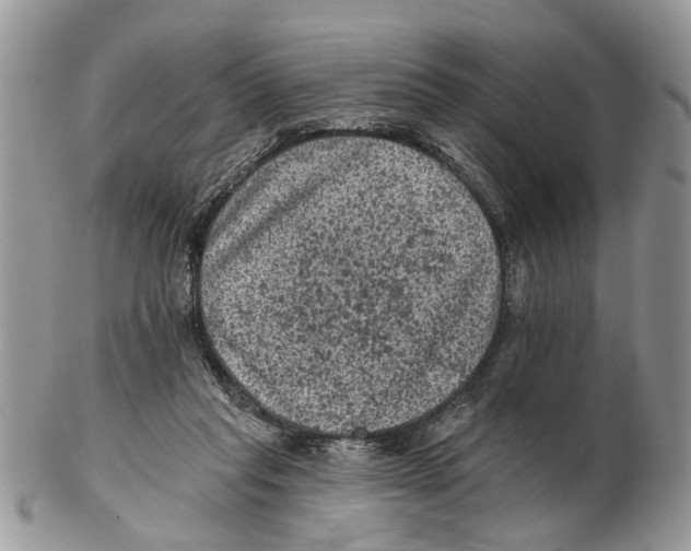 X0000102460261200809051316