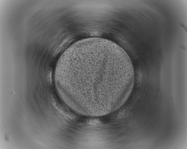 X0000102460262200809051316