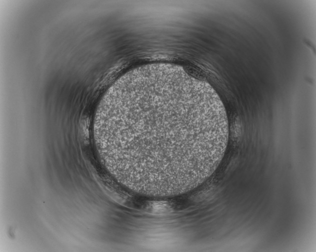 X0000102460264200809051316