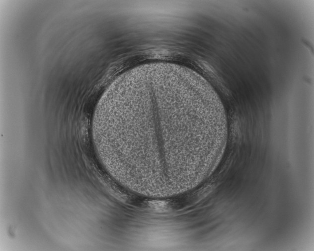 X0000102460265200809051316