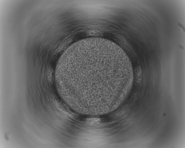 X0000102460266200809051316