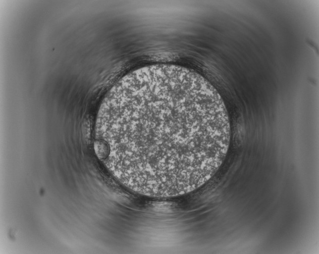 X0000102460268200809051316