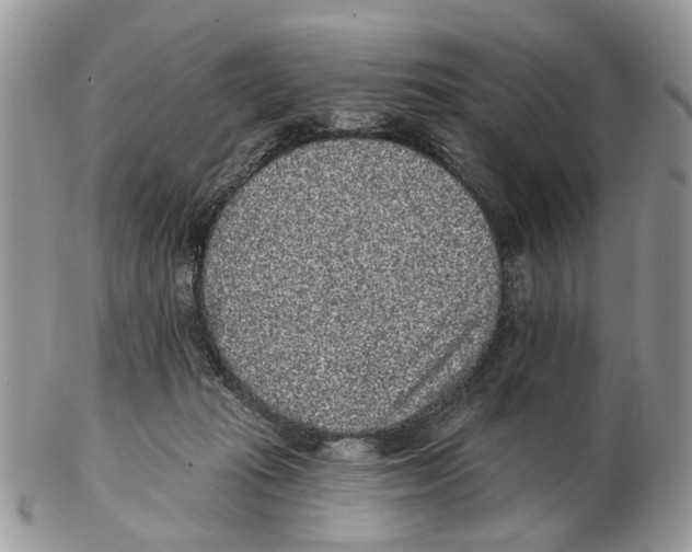 X0000102460269200809051316