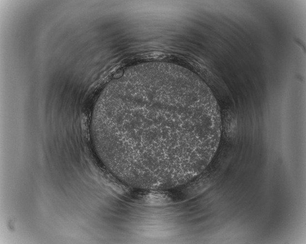 X0000102460270200809051316