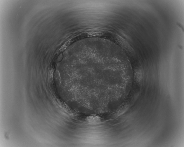 X0000102460271200809051316