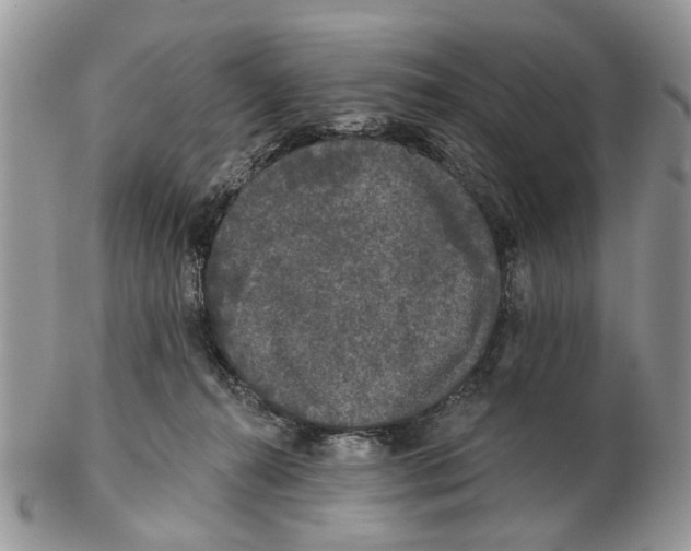 X0000102460272200809051316