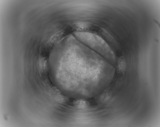 X0000102460276200809051316