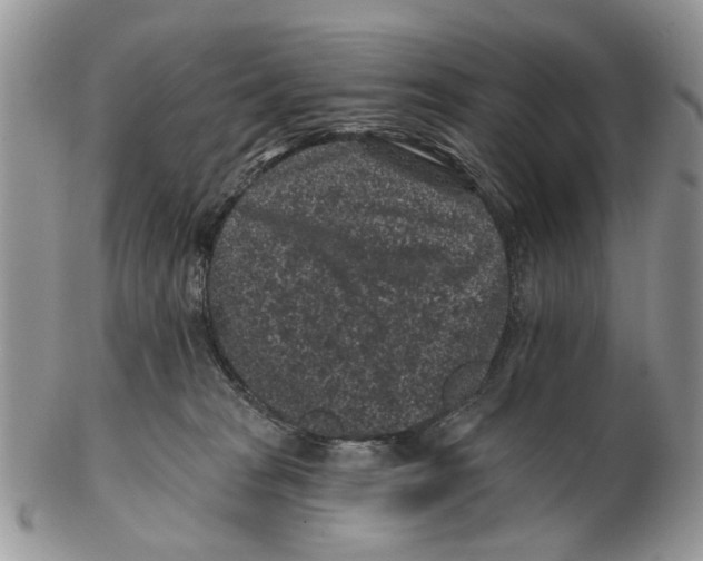 X0000102460277200809051316