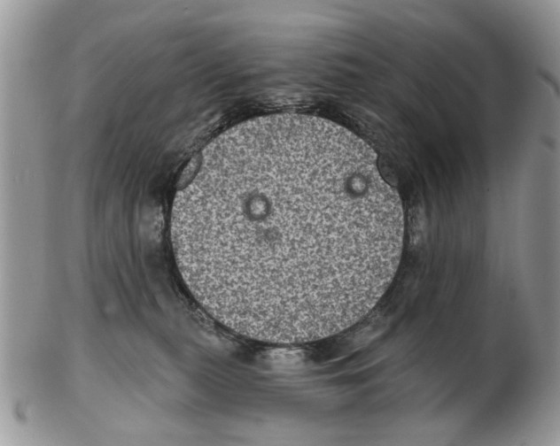 X0000102460279200809051316