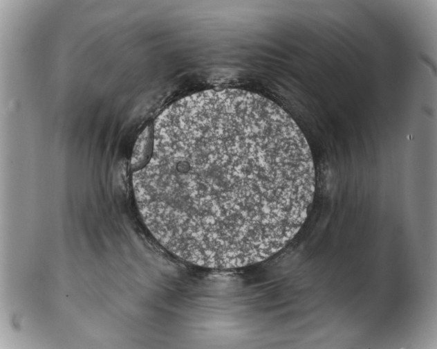 X0000102460280200809051316