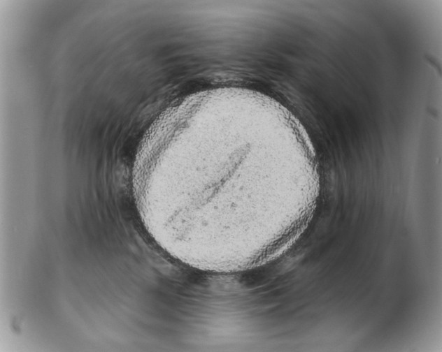X0000102460281200809051316