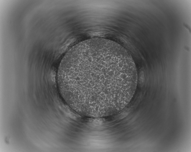 X0000102460282200809051316