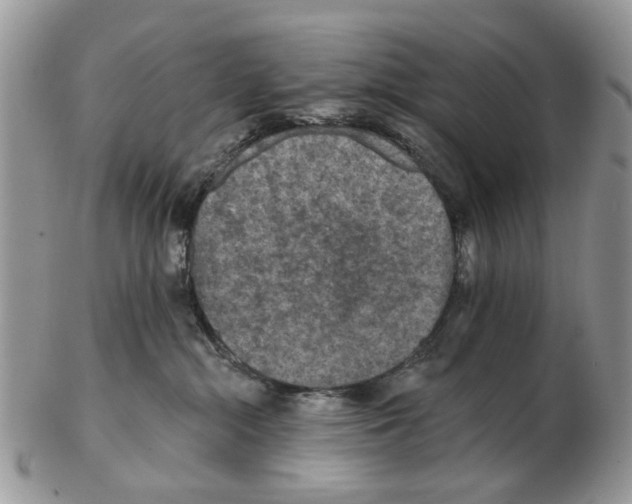 X0000102460284200809051316