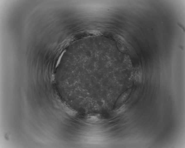 X0000102460285200809051316