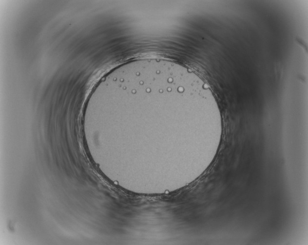 X0000102460289200809051316