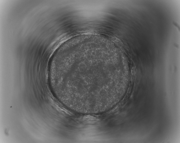 X0000102460290200809051316