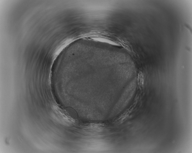 X0000102460292200809051316