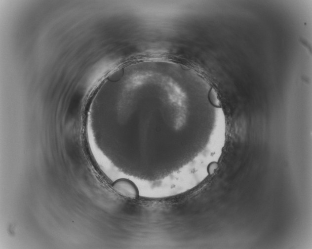 X0000102460293200809051316