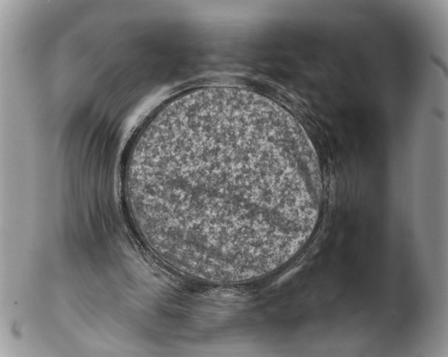 X0000102460294200809051316