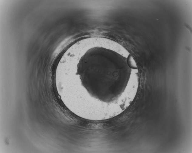 X0000102460295200809051316