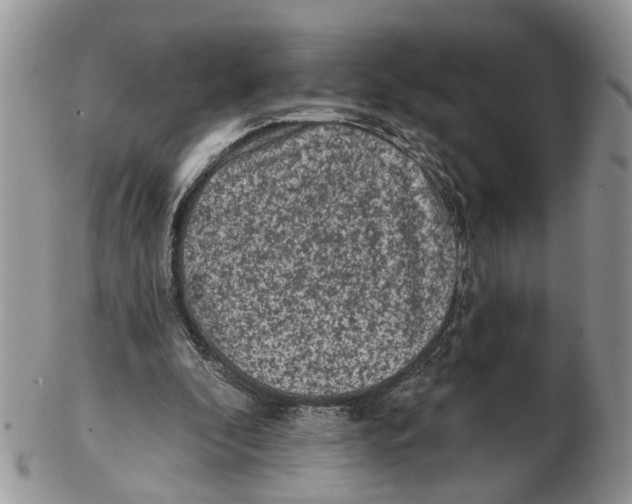 X0000102460296200809051316
