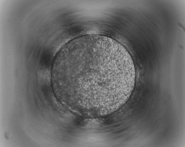 X0000102460297200809051316