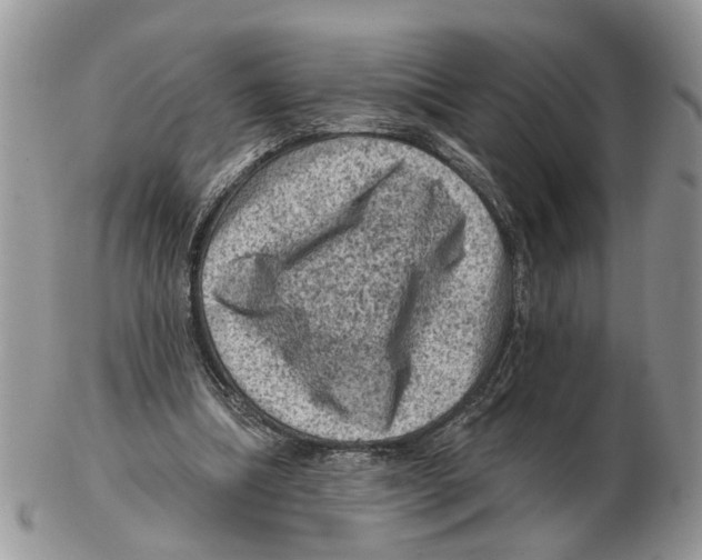 X0000102460298200809051316