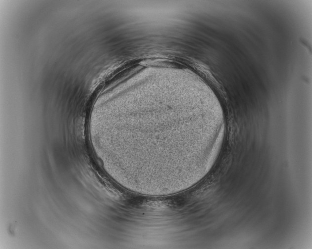 X0000102460299200809051316